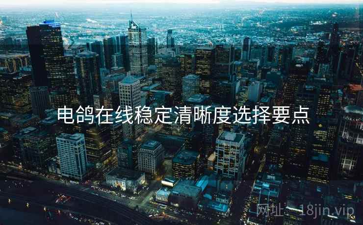 电鸽在线稳定清晰度选择要点