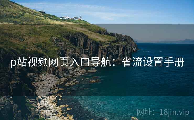 p站视频网页入口导航：省流设置手册