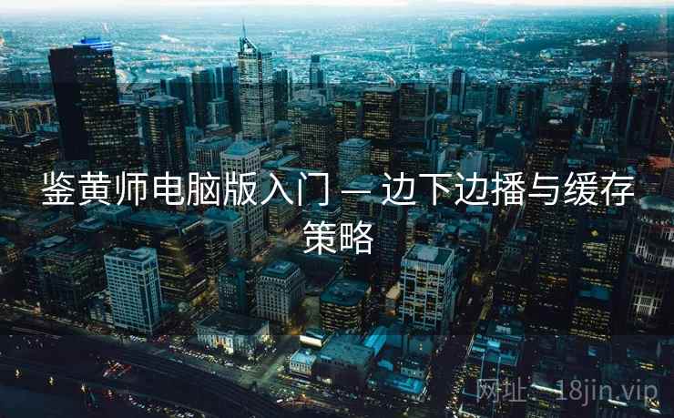 鉴黄师电脑版入门 — 边下边播与缓存策略