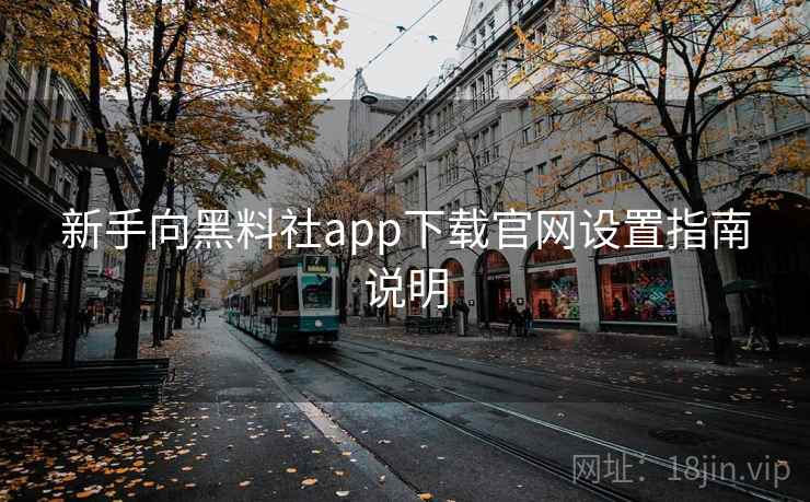 新手向黑料社app下载官网设置指南说明