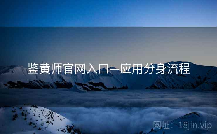 鉴黄师官网入口—应用分身流程