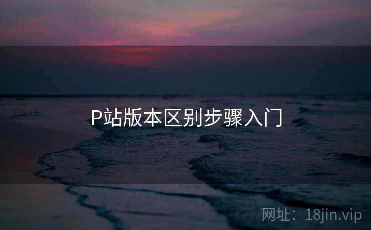 P站版本区别步骤入门