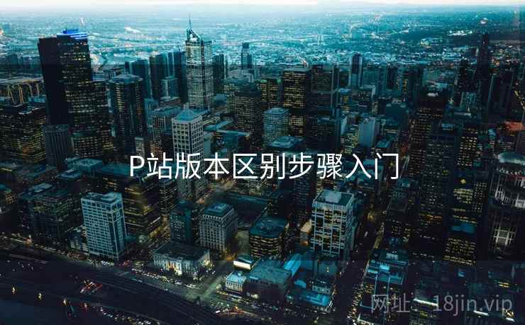 P站版本区别步骤入门